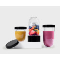 Блендер NUTRIBULLET MBR10 S