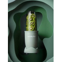 Блендер NUTRIBULLET NB908 MAJD