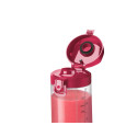 Блендер NUTRIBULLET NBP003MA