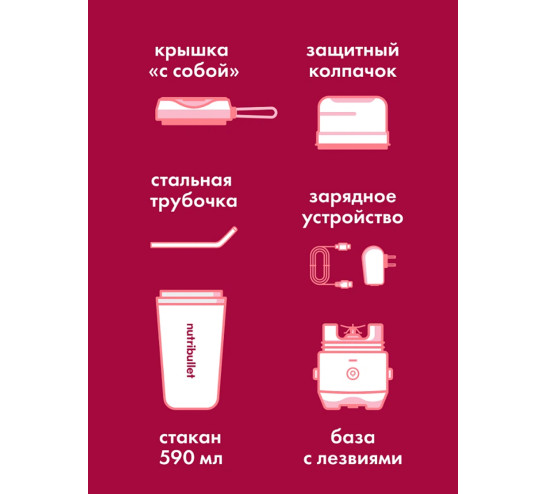 Блендер NUTRIBULLET NBP016MA FLIP
